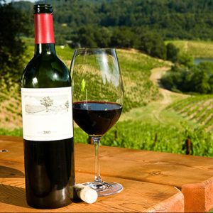 Sirromet Winery via Mt. Coot-tha & Brisbane CBD