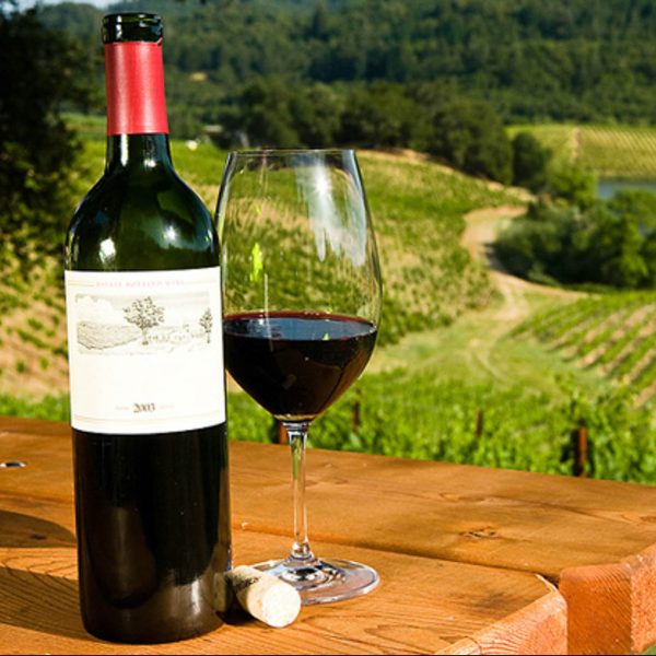 Sirromet Winery via Mt. Coot-tha & Brisbane CBD