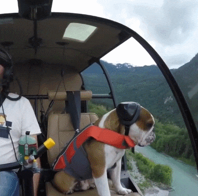 Private Pilot Licence
