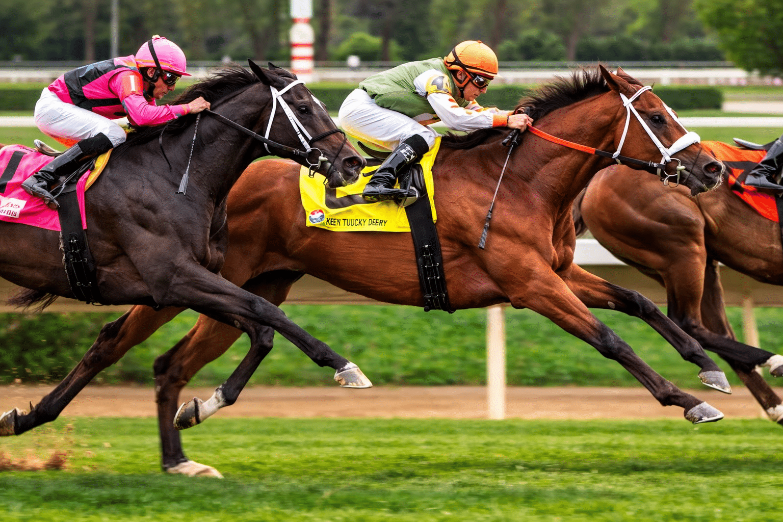 64f688c4 2761 46ad b492 1b3741e40e91