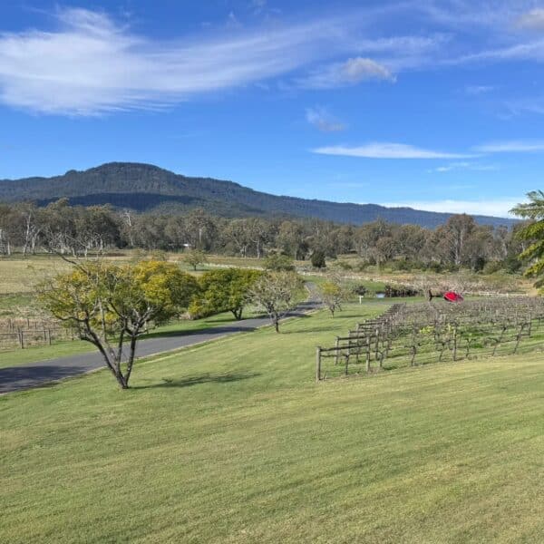 Winery Crawl
